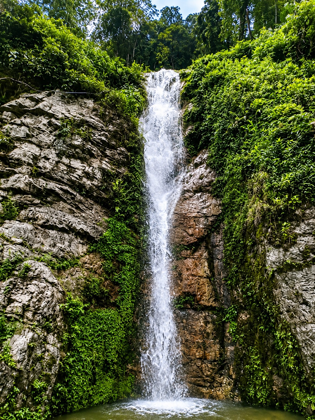 Kalimpong Landscape