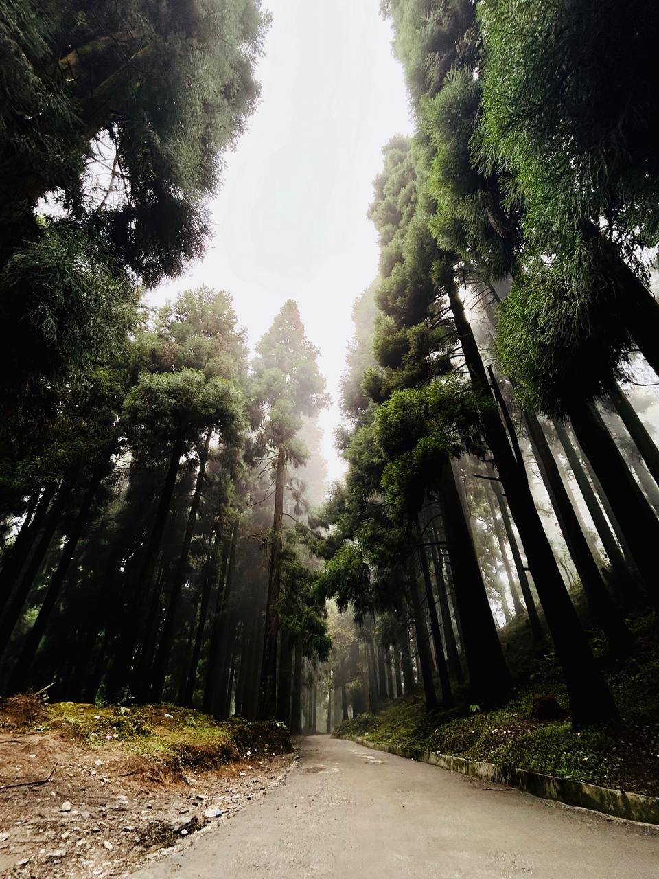 Kalimpong Landscape