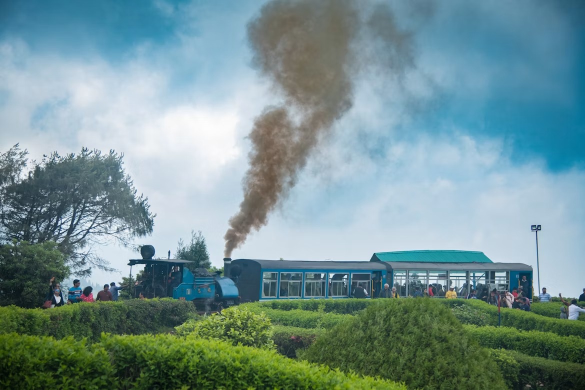 Toy Train Darjeeling